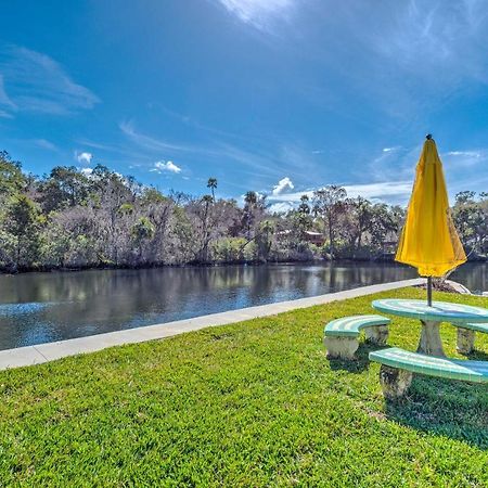 Withlacoochee River House With Dock And Kayaks! Yankeetown Luaran gambar