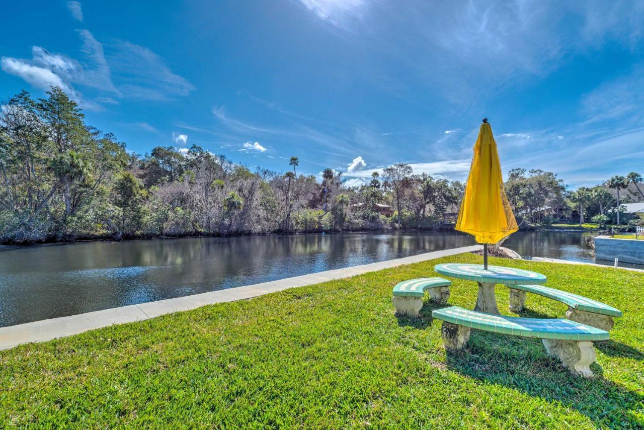 Withlacoochee River House With Dock And Kayaks! Yankeetown Luaran gambar